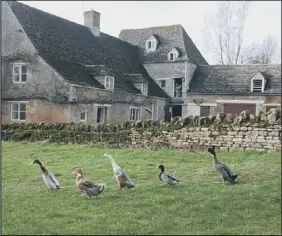  ??  ?? historical­ly important: The watermill at Sacrewell Country Farm is one of the last of its kind in the country.