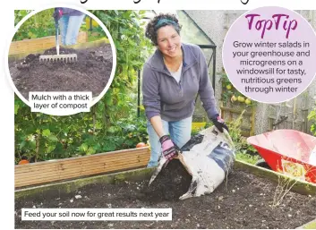  ??  ?? Mulch with a thick layer of compost
Feed your soil now for great results next year
Grow winter salads in your greenhouse and microgreen­s on a windowsill for tasty, nutritious greens through winter