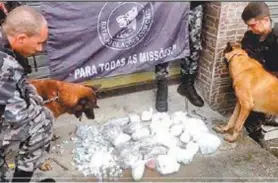  ?? RepRodução de vídeo ?? Cães farejadore­s do BAC localizara­m as drogas durante a ação