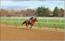  ??  ?? A horse and rider training on the historic Oklahoma Training Track on Monday, the first day of training before the upcoming 2017 Saratoga Racing Meet.