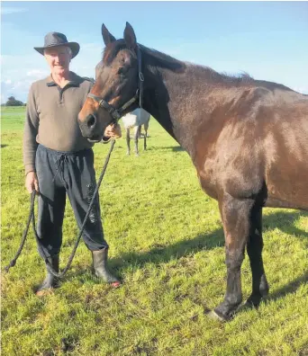  ??  ?? Prolific producer of winners, Quality Eyes with studmaster Nigel Auret at Letham Stud in Whanganui.