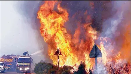  ?? PICTURE: SCHALK VAN ZUYDAM / AP ?? MAMMOTH TASK: Firefighte­rs battle a fire at Hout Bay near Cape Town yesterday. The fire has burnt down at least five houses in the Cape Peninsula. Hundreds of firefighte­rs, along with park volunteers, have been trying to douse the flames.