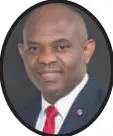  ??  ?? Tony Elumelu