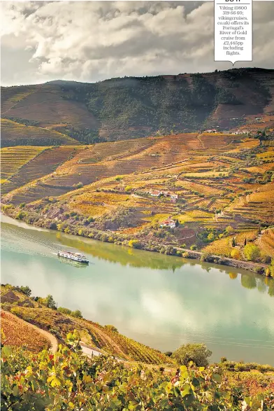  ?? ?? Viking (0800
319 66 60; vikingcrui­ses. co.uk) offers its
Portugal’s River of Gold cruise from
£2,445pp including
flights.