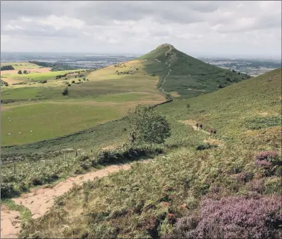  ?? PICTURE: IAN DAY ?? Looking towards Roseberry Topping. Moors Park officers have taken a dim view of plans to shake up National Parks.