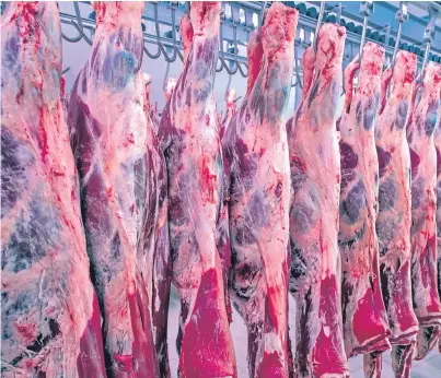  ??  ?? There is a pressing need for clarity on the quantities and destinatio­ns of exports of non-stun meat.