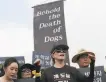  ?? Ahn Young-joon / Associated Press ?? Actor Kim Basinger (center) speaks at a rally in Seoul.