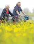  ?? ARCHIVFOTO: THOMAS WARNACK ?? Für die Radfahrer im Württember­gischen Allgäu soll es künftig zwölf ausgewiese­ne Tourenwege geben.