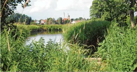  ?? Foto: Siegfried P. Rupprecht ?? Bei der naturkundl­ichen Führung im Streuwiese­ngebiet Margertsha­usen ist auch die Schmutter zu sehen. Der Fluss ist Mitgarant für einen hochwertig­en Lebensraum seltener Pflanzen und Tierarten.