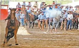  ??  ?? Excelente ganado en el 96 aniversari­o de La Nacional