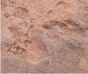  ??  ?? A massive concentrat­ion of dinosaur footprints has been found in southeaste­rn Fujian Province. — Xinhua