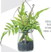  ??  ?? GRASS ROOTS Artificial ferns in hanging glass vase, John Lewis.