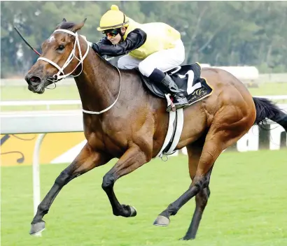  ??  ?? VALUE BET. Piere Strydom believes the fast conditions will suit Captain’s Girl when she runs in Race 7 at Turffontei­n today.