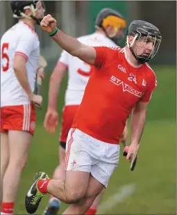  ??  ?? Neil Arthur celebrates his goal against Tyrone.