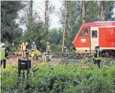  ?? FOTO: SBO ?? Die Feuerwehr musste die Gleise von dem Baum befreien, anschließe­nd konnte der Zug seine Fahrt fortsetzen