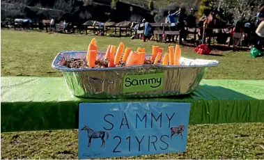  ?? PHOTOS: MARTIN DE RUYTER/NELSON MAIL ?? A birthday cake for Sammy at the Riding for the Disabled horses’ birthday event in the Brook Valley.