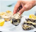  ??  ?? i Shell out: fresh oysters from Cancale j Château de Josselin is worth a detour