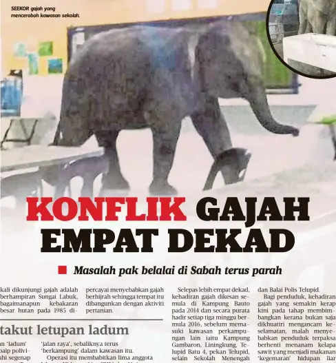  ??  ?? SEEKOR gajah yang menceroboh kawasan sekolah.