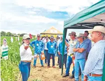  ?? ?? La Ing. Estela Ojeda, gerente general del Inbio, mostrando las variedades Sojapar a productore­s brasileños.