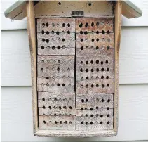  ??  ?? Left: The mason bee house was made by Betty’s father