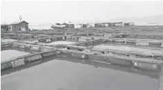  ?? STEVE GAINES ?? A series of commercial fish ponds in Shandong, China