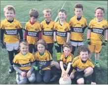  ?? ?? Lismore U7s who played at WIT last weekend, back row l-r: Darragh Bennett, Darragh Lenihan, Conor Moore, James Barry, Oscar Lyons and Seán Coleman. Front row l-r: Joseph Moloney, Will McInerney, Fred Leahy and Daniel Whelan.