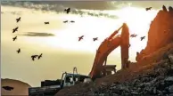  ?? PHOTOS PROVIDED TO CHINA DAILY ?? Rosy starlings fly over a road constructi­on site in Nilka county, Xinjiang Uygur autonomous region.