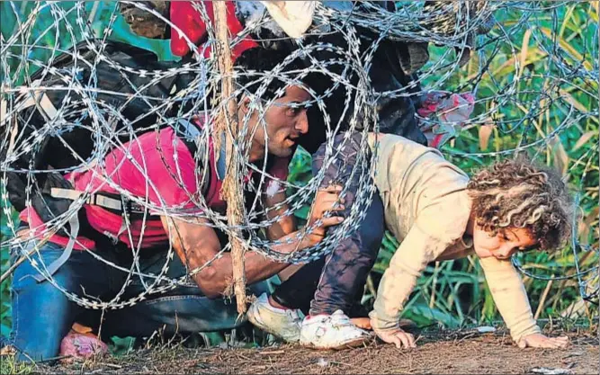  ?? ATTILA KISBENEDEK / AFP ?? Una familia de refugiados atravesand­o la alambrada de la frontera entre Serbia y Hungría, ayer, en las cercanías de la población húngara de Roszke