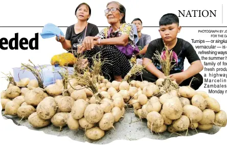 ?? PHOTOGRAPH BY JONAS REYES FOR THE DAILY TRIBUNE ?? Turnips — or singkamas in the vernacular — is one of the refreshing ways to quench the summer heat and a family of four display fresh produce along a highway in San Marcelino town, Zambales City on Monday morning.