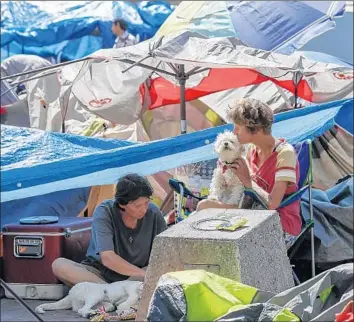  ?? Photograph­s by Irfan Khan Los Angeles Times ?? TWO homeless people and their dogs at Santa Ana’s Plaza of the Flags in March. Camps there and along the Santa Ana River were subsequent­ly cleared, and cities are struggling to find new shelter for occupants.