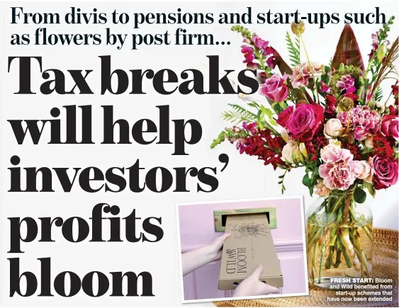  ?? ?? FRESH START: Bloom and Wild benefited from start-up schemes that have now been extended