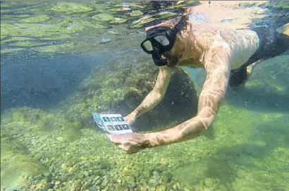  ?? PERE DURAN / NORD MEDIA ?? Un participan­t d’aquesta refrescant i educativa activitat estiuenca amb la seva guia del fons marí