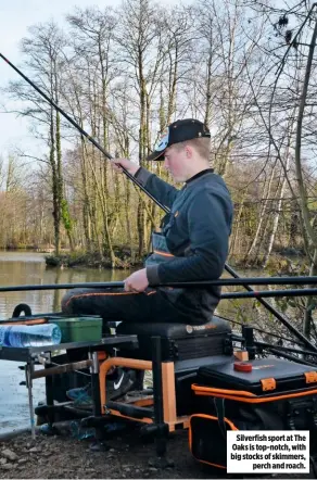  ??  ?? Silverfish sport at The Oaks is top-notch, with big stocks of skimmers, perch and roach.