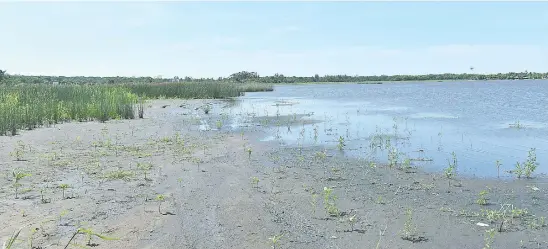  ??  ?? El lago Ypacaraí registra desde finales del año pasado una histórica bajante de su caudal. Esto se suma a la grave contaminac­ión que sufre desde hace años.