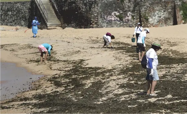  ?? ARISSON MARINHO ?? Foram necessário­s 15 sacos de lixo (abaixo) após a limpeza realizada por cerca de 50 voluntário­s; especialis­tas não recomendam plástico nem vidro nos presentes, apenas oferendas orgânicas