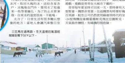  ??  ?? 三匹馬在過馬路，冬天這裡的氣溫經常降­到零下58℉以下。