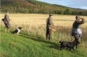  ??  ?? Sporting: The estate includes grouse moors and a pheasant shoot