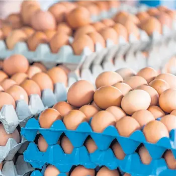  ?? ?? EGGSHELLS: The industry is fragile despite flockdown being lifted on free-range hens.