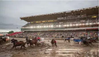  ?? ANDY NICHOLS/CALGARY STAMPEDE ?? Chuckwagon races traditiona­lly start with outriders throwing a barrel into the back of each wagon.