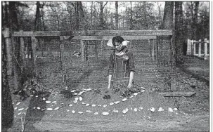  ??  ?? “Delta Rediscover­ed,” includes photos Dayton Bowers took of the White River Delta like Girls at
Mussel Shell Grave. The exhibit is on display at the Butler Center for Arkansas Studies, 401 President Clinton Ave., Little Rock, through April 28. Hours...