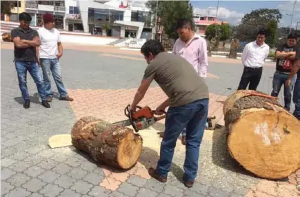  ??  ?? ACTIVIDAD. En el feriado de carnaval se desarrolla­rá el IX Simposio Internacio­nal de Escultura con Motosierra.