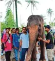  ?? Fotos: Hermann Schmid ?? Dieses Foto zeigt Mamatha (links) mit den beiden Mahouts aus Karnataka und einen asiatische­n Elefanten.