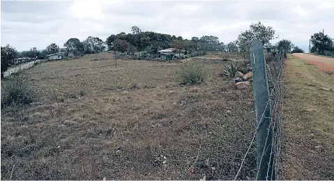  ?? FOTO: DAVID ROMERO ?? El predio ubicado en La Puerta mide un aproximada de 42 manzanas. Cada familia tendría 500 varas cuadradas para construir.