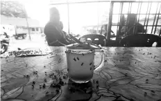  ??  ?? The serious flies problems faced by of residents of Kampung Alor Batu in Pahang. Bernama photo