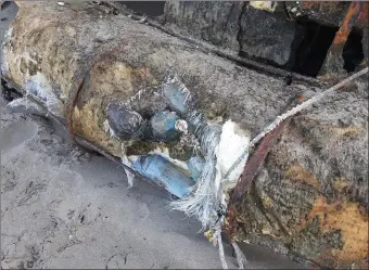  ??  ?? Pictured: The water bottles used to help make the boat were all Cuban mineral water bottles. Gordon Fallis who discovered the wreckage now hopes the boat will be preserved.