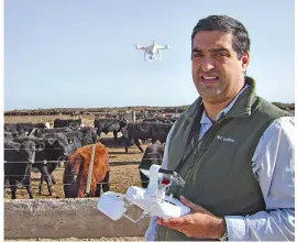  ??  ?? Al mando. Triviño, controland­o el vuelo del dron, frente a un corral de terneros.