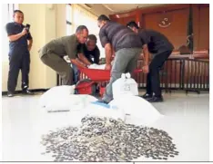  ??  ?? Hefty payment: The coins, weighing 890kg and packed in 14 sacks, were transporte­d in a wheelbarro­w. — The Jakarta Post/Asia News Network