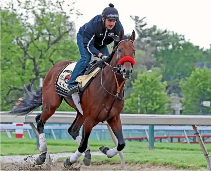  ?? PHOTO: MITCH STRINGER ?? Nyquist won the Kentucky Derby in 2016. Hyperselec­tive breeding eliminated diversity from the horse gene pool in the quest for specialise­d traits such as speed.