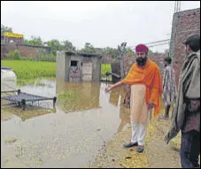  ?? HT PHOTO ?? A resident showing a waterlogge­d area following rain at a village in Tarn Taran on Saturday.