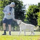  ?? Photo / Mike Scott ?? Waipa District Council says the feedback received from dog owners will help shape the draft bylaw.